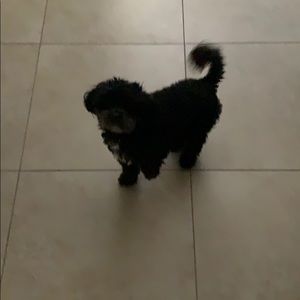 Meet your Posher, Gerry